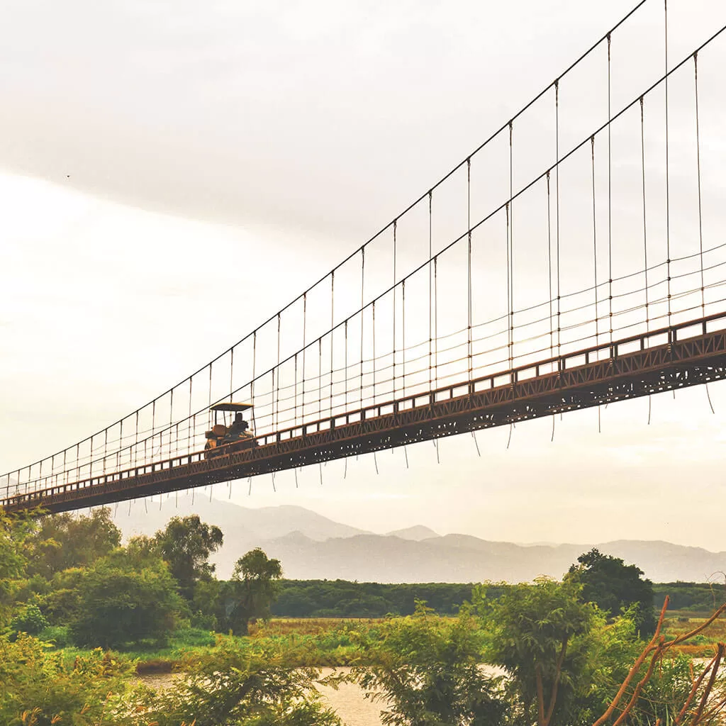 Ecoprojects. Puente sobre lago y pradera.