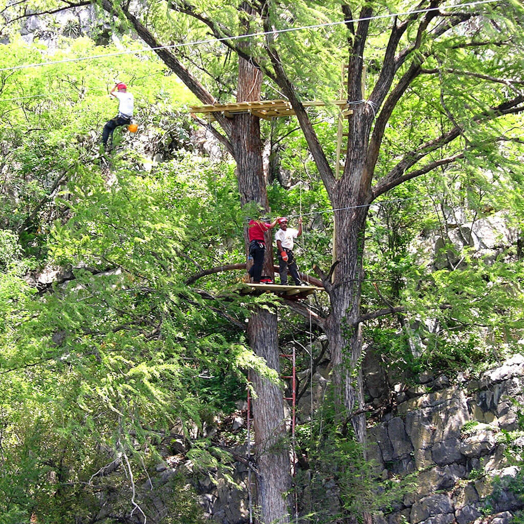 Ecoprojects. Personas utilizandolas construcciones de Ecoprojects sobre unos árboles en un bosque,.