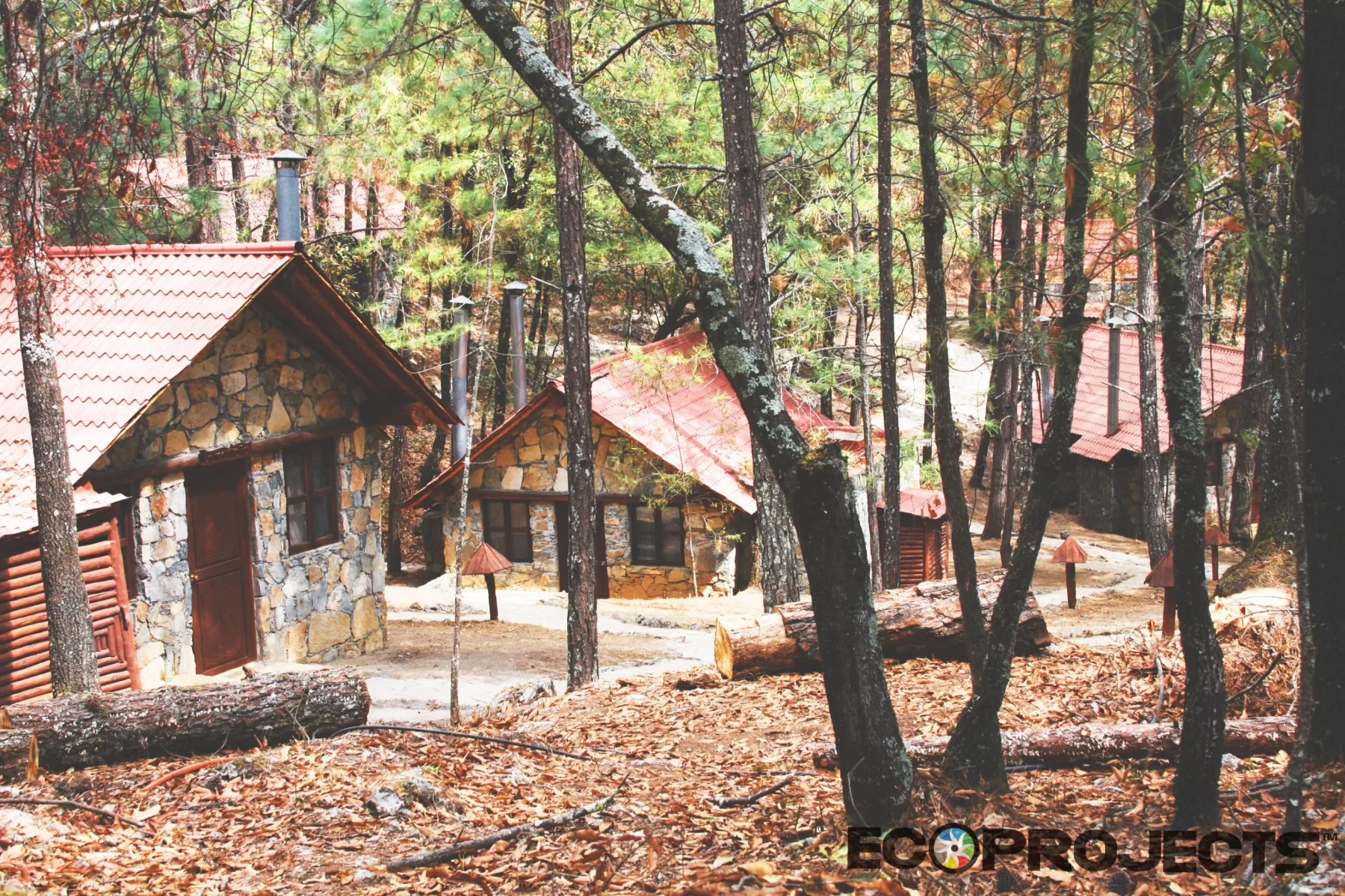 Ecoproparks. Cabañas de piedra en bosque.