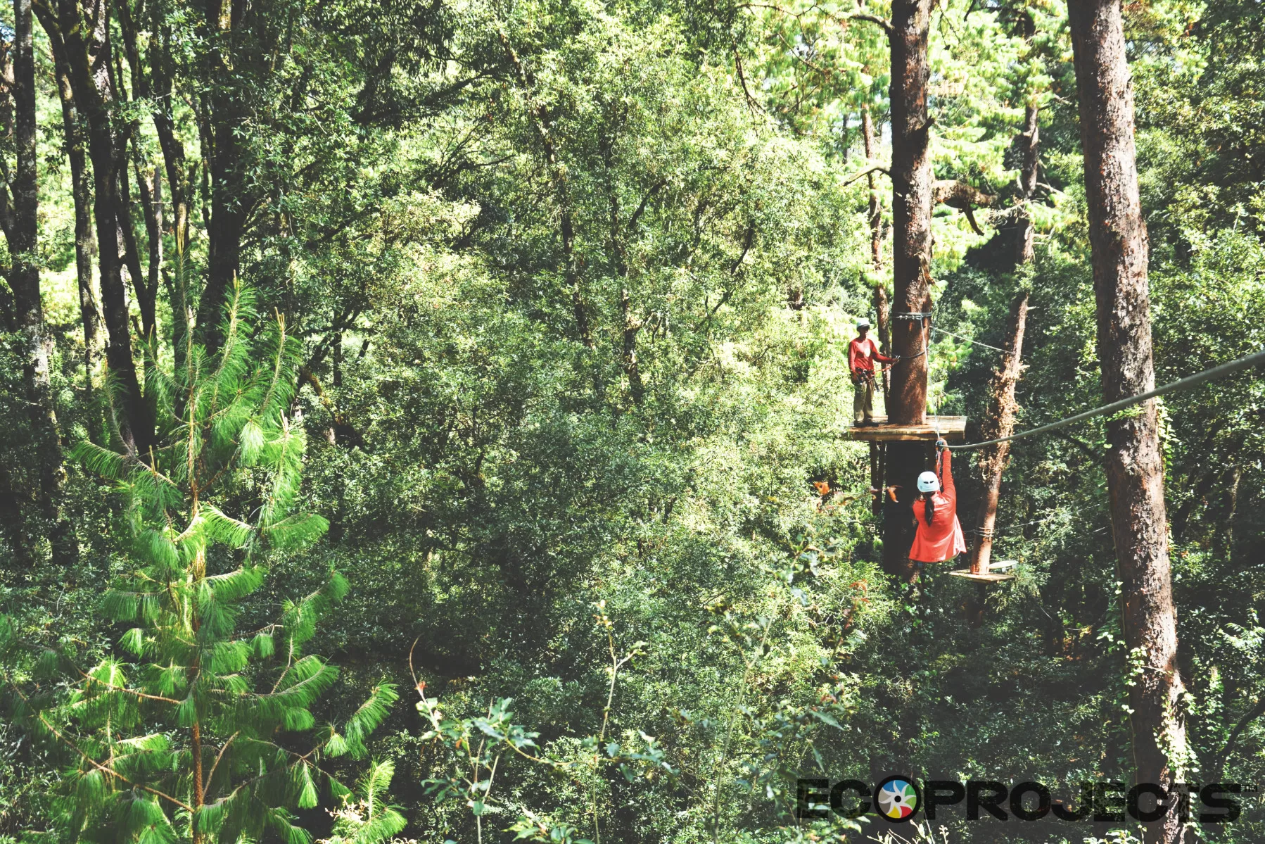 Ecoproparks. Canopy Tour 13.