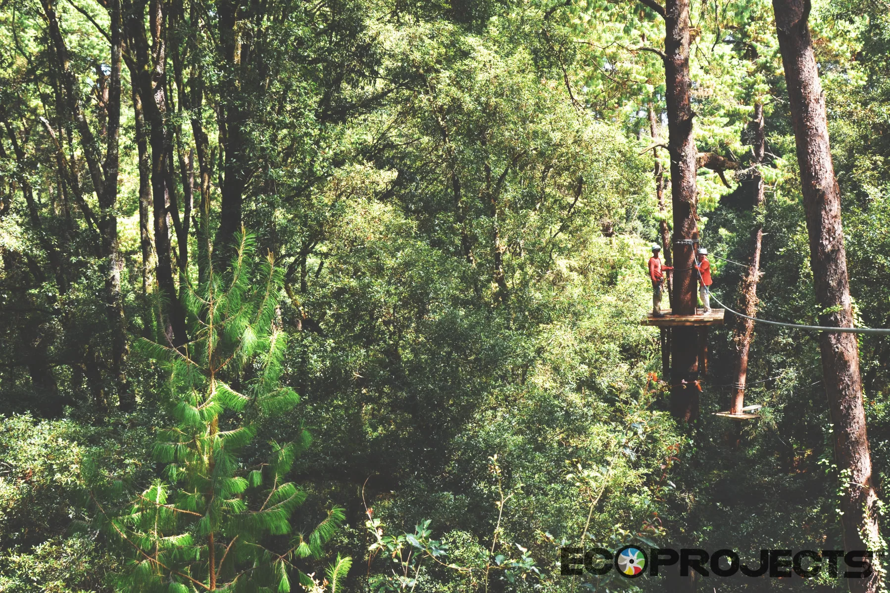 Ecoproparks. Canopy Tour 14.