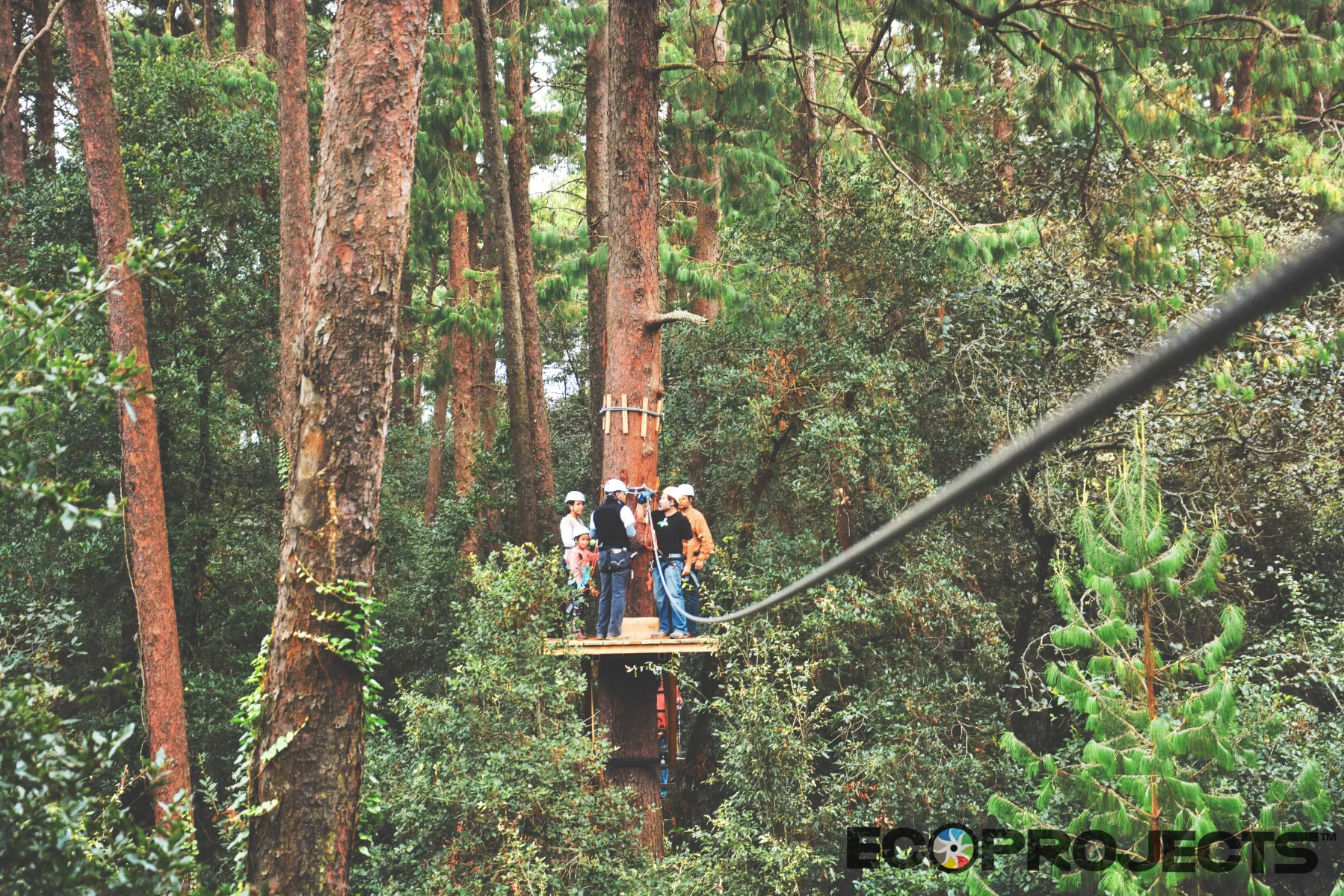 Ecoproparks. Canopy Tour 19.