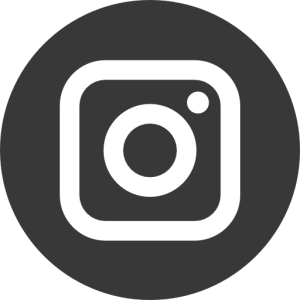 Ecoproparks. Logo de Instagram color gris.